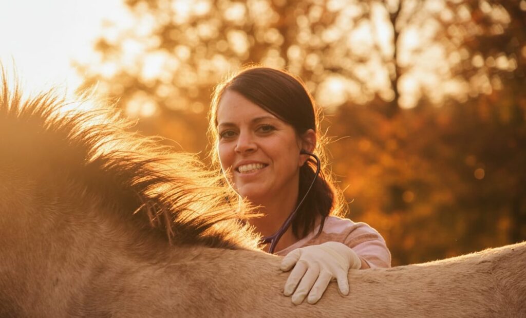 Tierärztin Svenja Jahn bei mobiler Pferdebehandlung auf der Insel Rügen